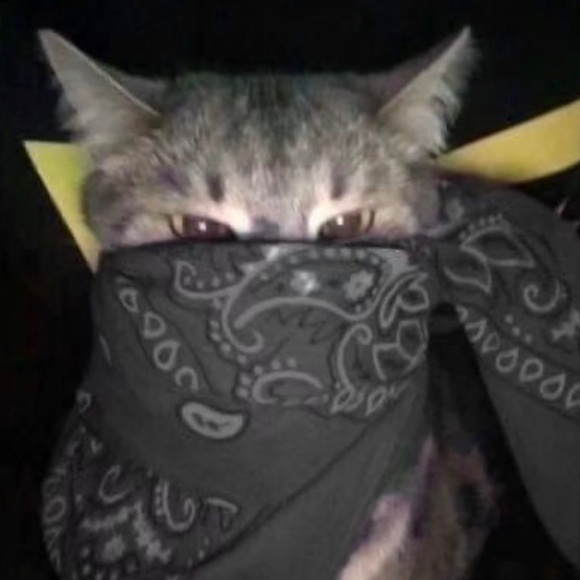 Meet your Posher, Sunset - Picture 1 of 1